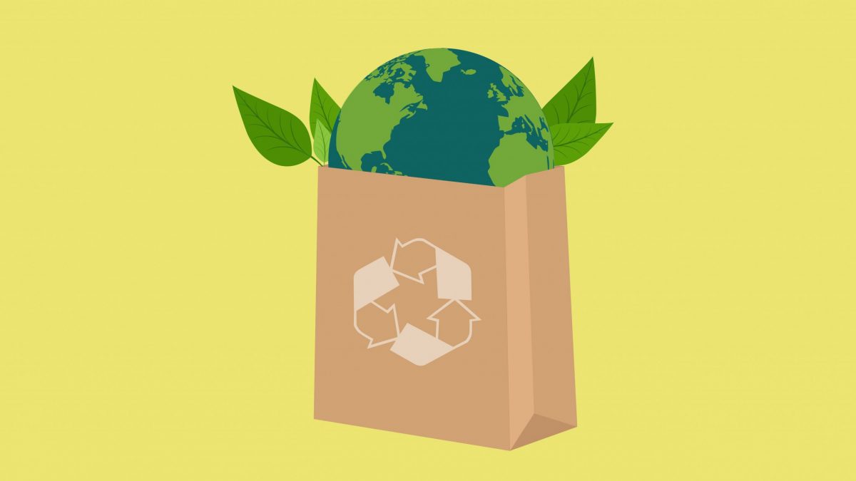 Two Earths, one in plastic, another in paper bag with leafs.